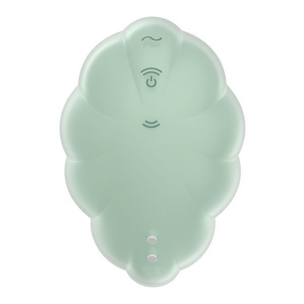 Вакуумний стимулятор з вібрацією Satisfyer Cloud Dancer Mint SO8973 фото