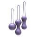 Набор вагинальных шариков Je Joue - Ami Purple, диаметр 3,8-3,3-2,7см, вес 54-71-100гр SO3042 фото 1