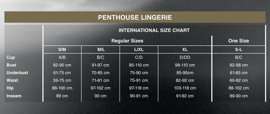 Бодистокинг с закрытым боди и чулками Penthouse - Sugar Drop S/L SO4393 фото