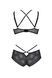 Комплект Passion DROSERA BIKINI black, L/XL, бюстгальтер і трусики-кюлоти SX0467 фото 4